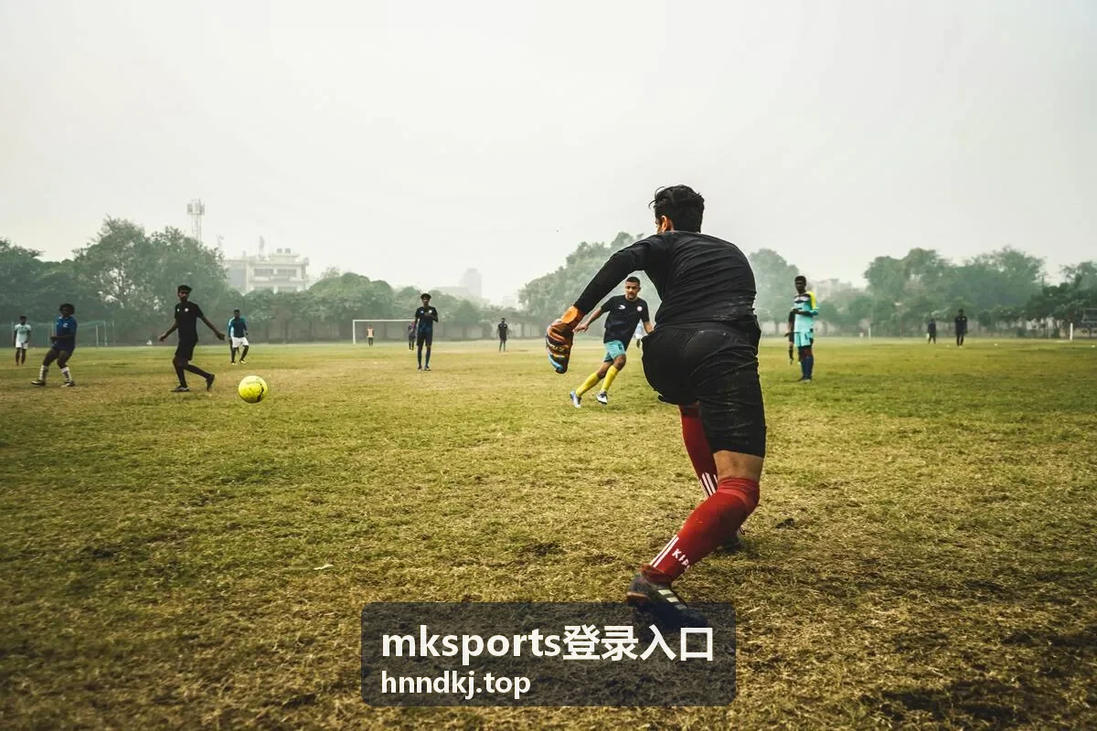 mksports登录入口通道变动与设备提醒说明配图